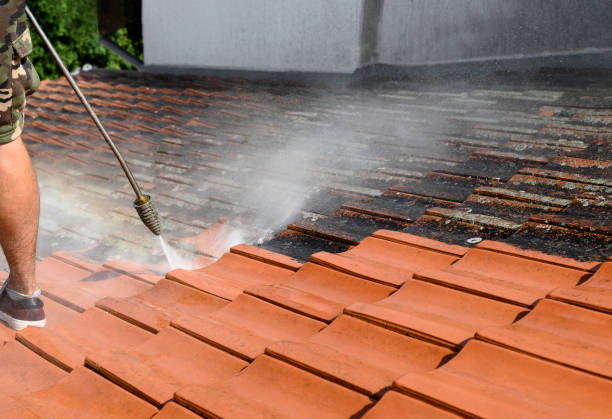 Best Best Pressure Washing Companies  in Wilsons Mills, NC